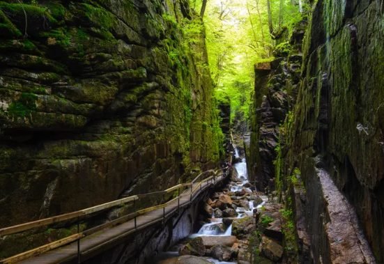 Local Exploration丨1 Day Traveling Across Lost River Gorge and Flume Gorge from  Boston