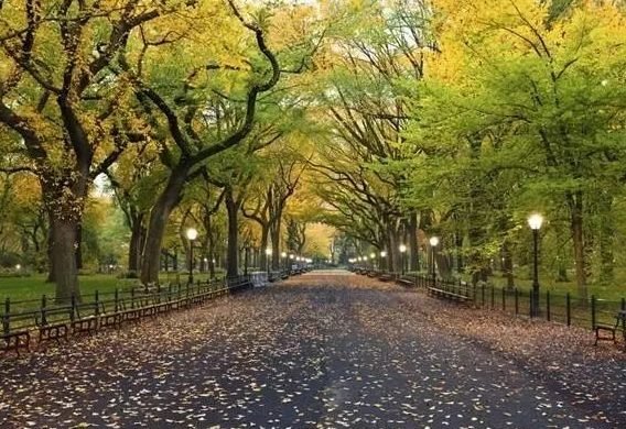  Small Group No More Than 14 Guests | Half-day New York City Sightseeing Tour
