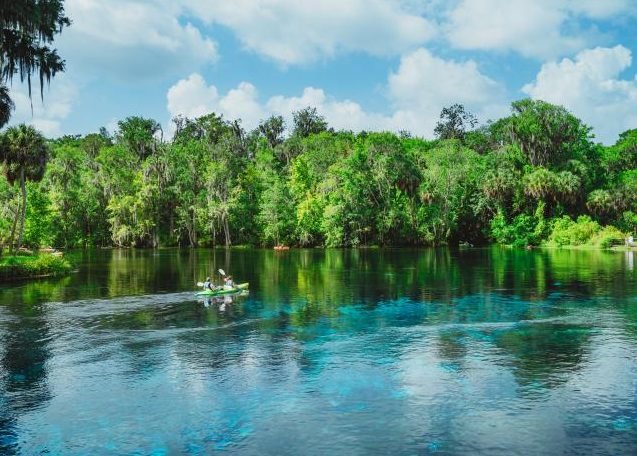 1 Day Tour of Silver Springs with Glass-bottom Boat and Kayak Boats from Orlando (Small Group of No More Than 14 Guests)