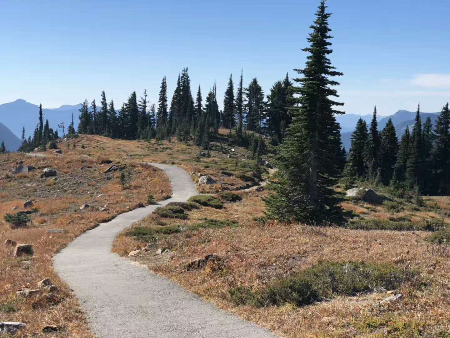 Mount Rainier National Park 1-Day Tour (deparure daily)