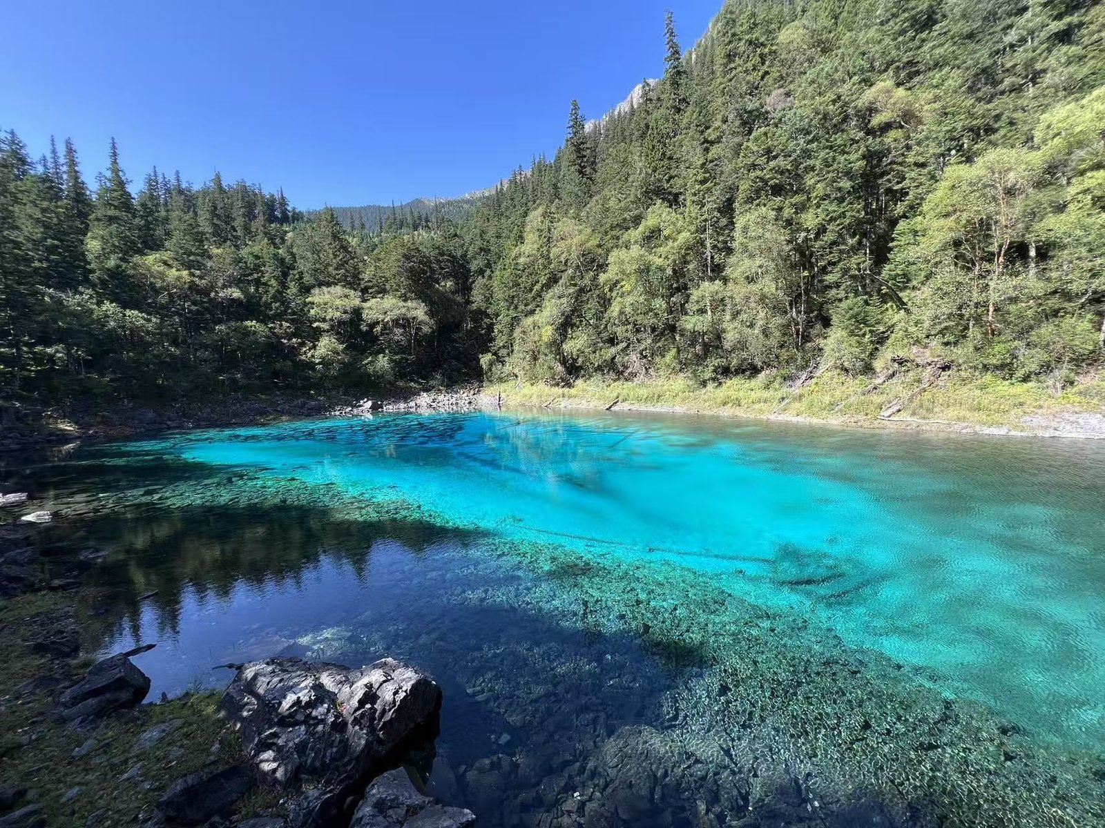 17-Day Private Tour of China: Shanghai, Wudang Mountain, Chengdu, Jiuzhaigou Scenic Area, Dujiangyan, Zhangjiajie, Beijing and Xi'an