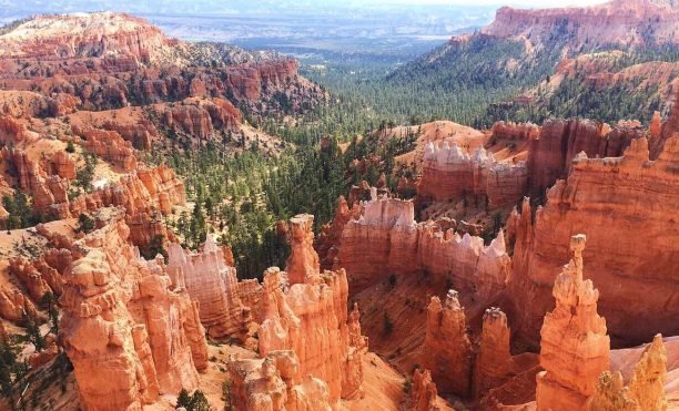 San Francisco Airport Pickup+Zion National Park+ Bryce Canyon National Park+ Lower Antelope Canyon+ Grand Canyon National Park+ Las Vegas 9-Day Tour (Package)