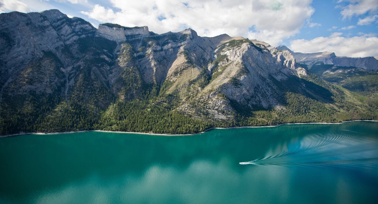 Banff Night Tour: Wildlife & Hidden Gem Viewing Half-Day Tour