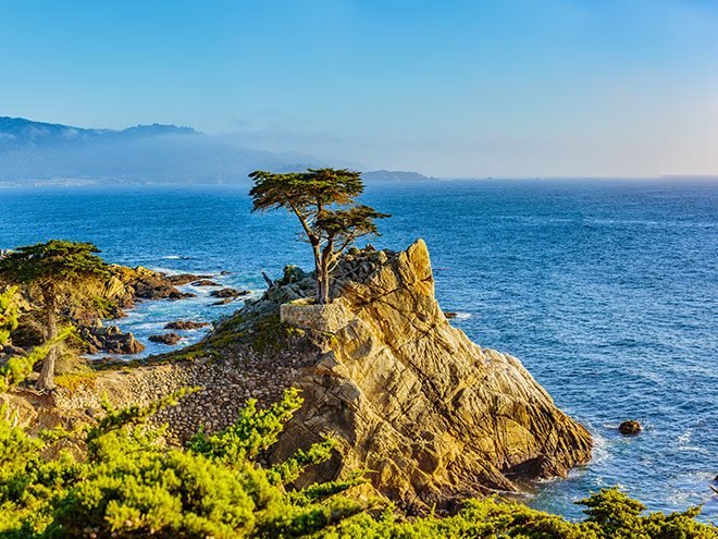 1 Day Tour to 17 Miles and Pebble Beach