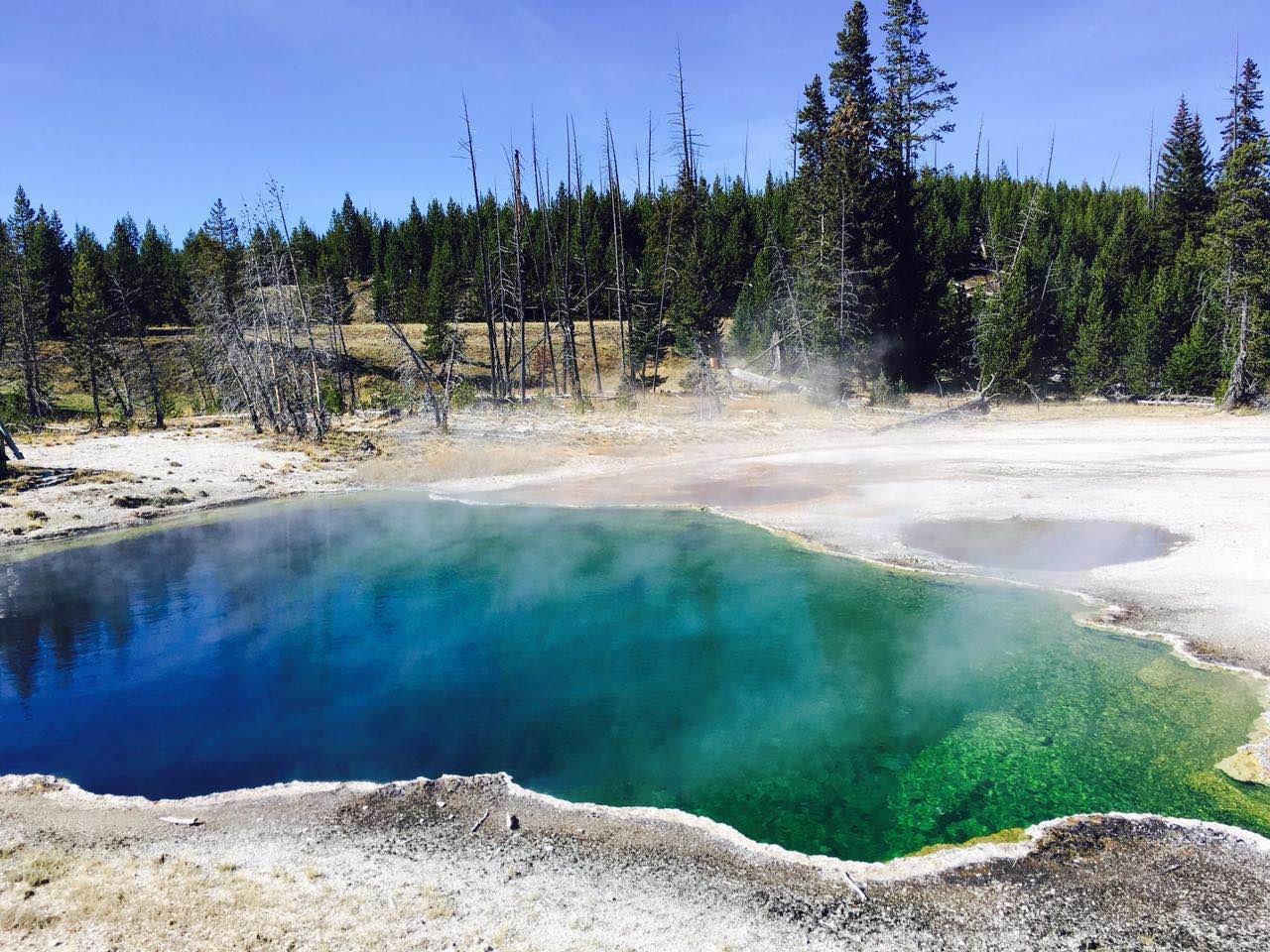 Small Group of No More Than 13 Guests | Los Angeles pick-up&Free Day+Bryce Canyon National Park+ Yellowstone National Park+Grand Teton National Park+Salt Lake City+Zion National Park 11-day Tour