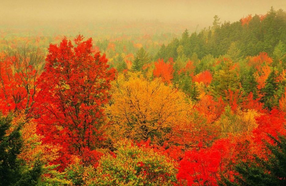 Vermont Summer 2-Day Tour【New York City Departure】