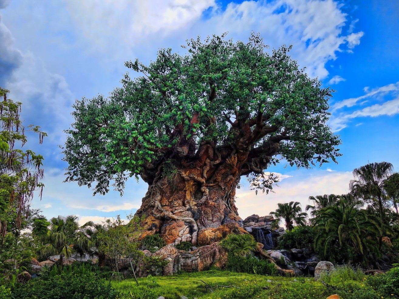 Small Group of No More Than 14 Guests | Orlando 6-Day self-guided and guided Tour