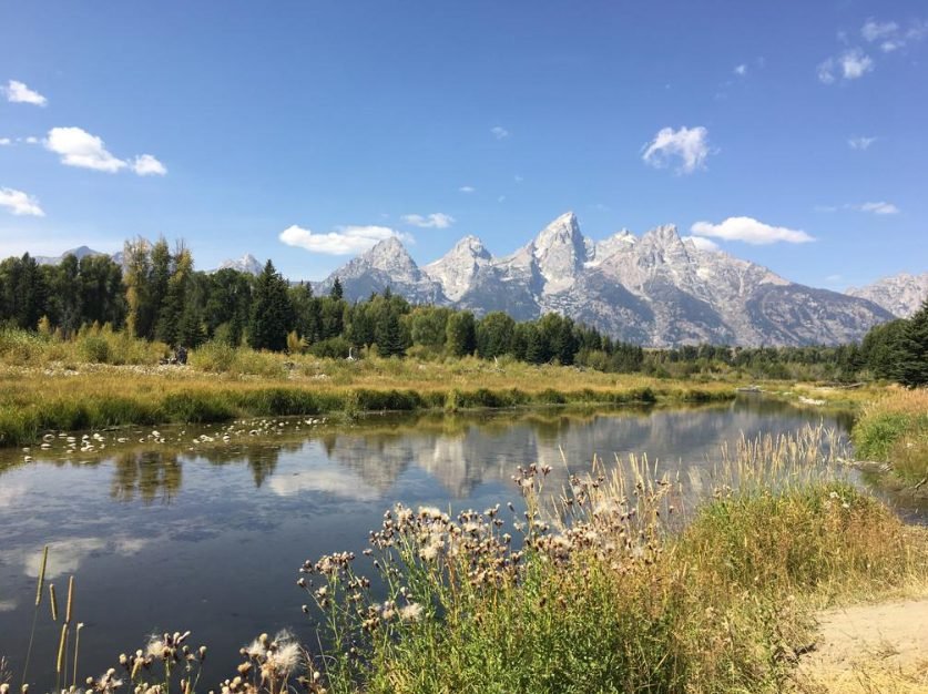Los Angeles +Las Vegas +Lower Antelope Canyon +Horseshoe Bend +Yellowstone National Park +Grand Teton National Park 5-day Tour