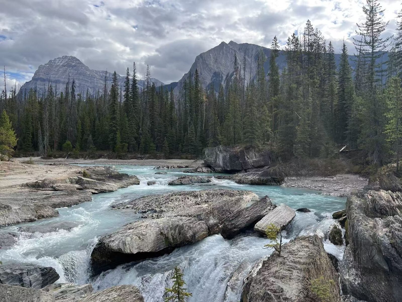 Calgary/Banff Round Trip to Yoho National Park + Lake Louise 1-Day Tour (Winter Itinerary)