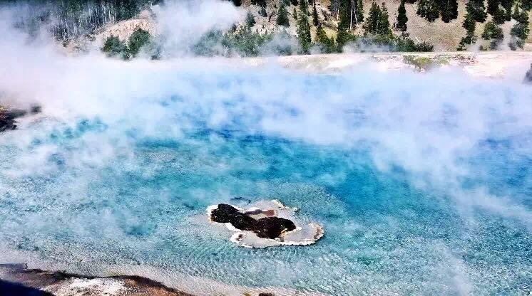 Juicy Premium || Small Group of No More Than 13 Guests | Yellowstone National Park + Grand Teton National Park + Salt Lake City 4-Day Tour 