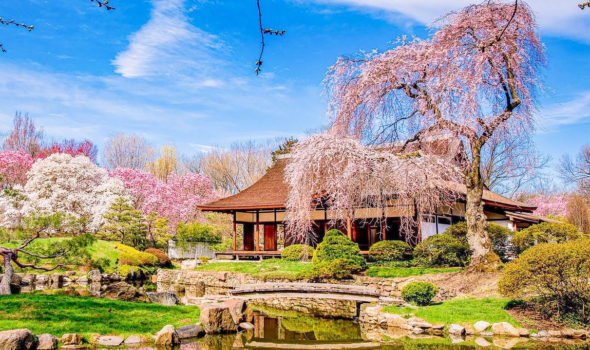 Philadelphia Cherry Blossom 1-Day Tour