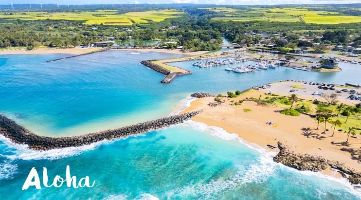 Oahu 1-Day Tour