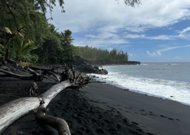 The Big Island of Hawaii 1-Day Tour