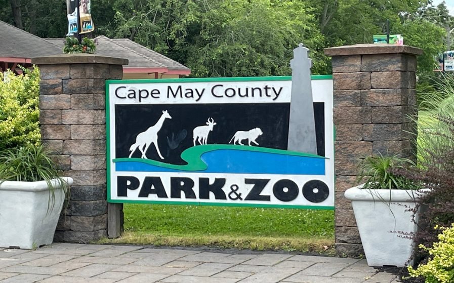 Local Exploration ‖ 2-Day Tour of Cape May from New York 