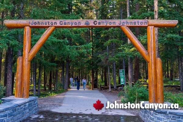 Calgary/Banff Roundtrip: Johnston Canyon 1-Day Tour