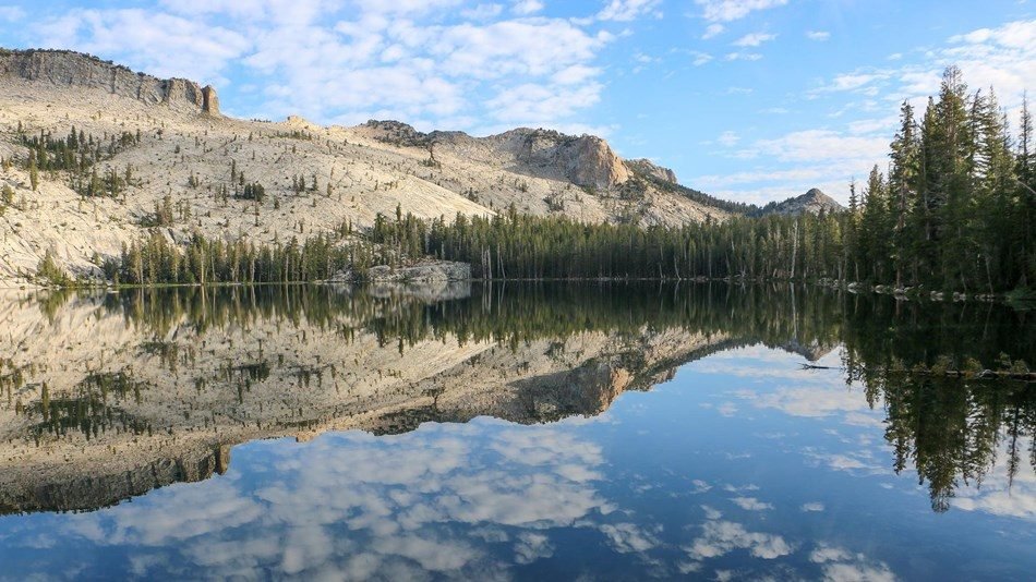 2 Day Tour of Yosemite National Park and Kings Canyon National Park