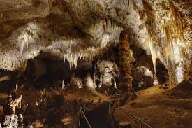 Phoenix+ Albuquerque+ Sedona+ Las Vegas+ Death Valley+ Los Angeles Free Time 8-Day Tour