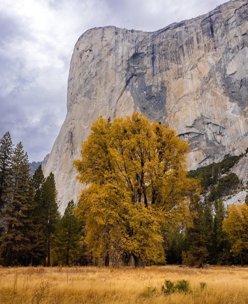 San Francisco, 17 Miles, and Yosemite National Park 3-Days Tour