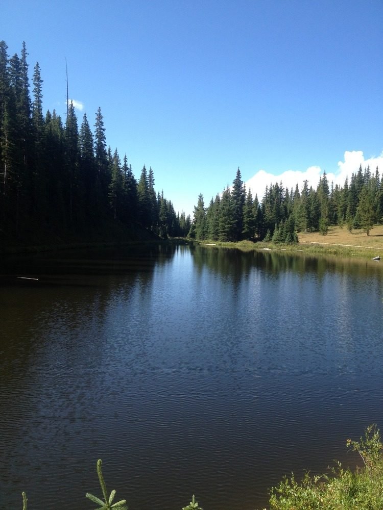 Small Group of 14 People | 5 Days Tour to Denver, Rocky Mountain National Park, Glenwood Springs, Aspen, and Colorado Springs