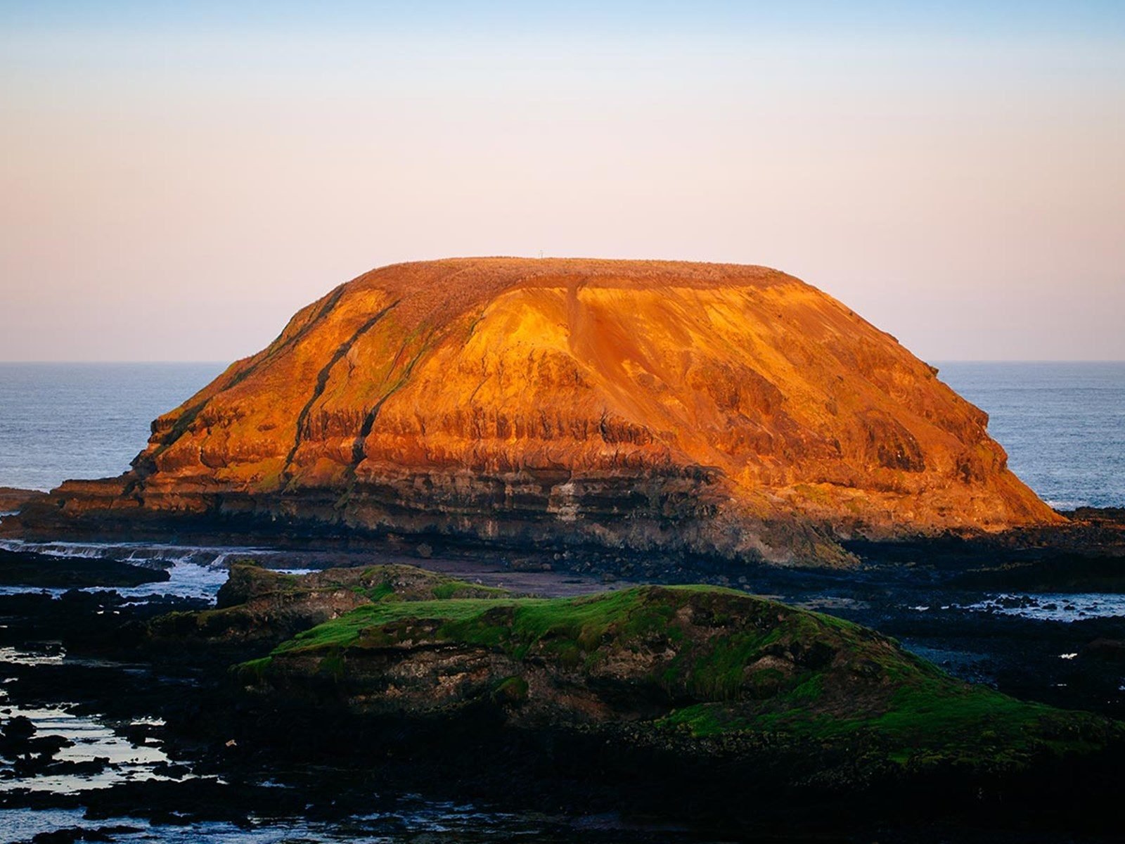 5 Day Tour Through Australia, Phillip Island, Sovereign Hill, Great Ocean  Road, and Melbourne City