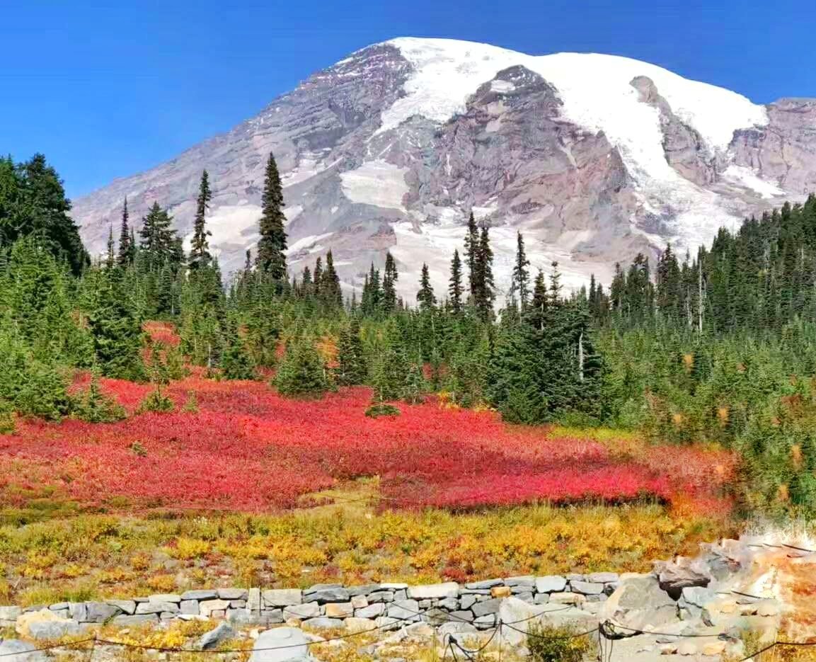  Mount Rainier National Park 1-Day Tour (Small Group of Less Than 12 Guests)