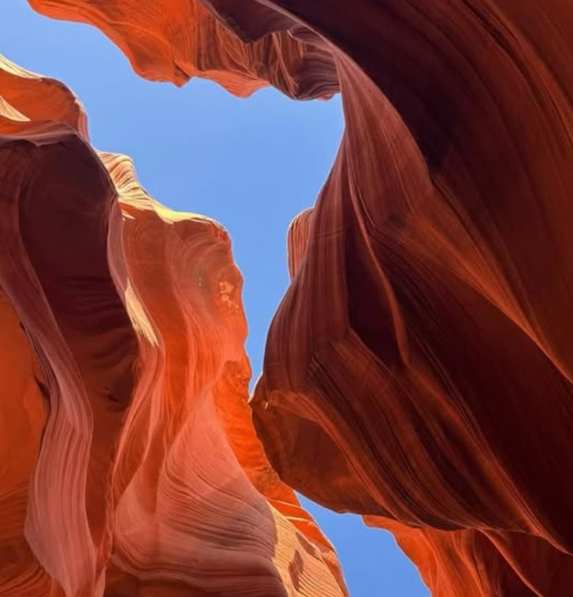 San Francisco Airport pick up+ Lake Tahoe + Yellowstone National Park +Grand Teton National Park +Lower Antelope Canyon +Grand Canyon National Park +Las Vegas+Free Day 10-day Tour