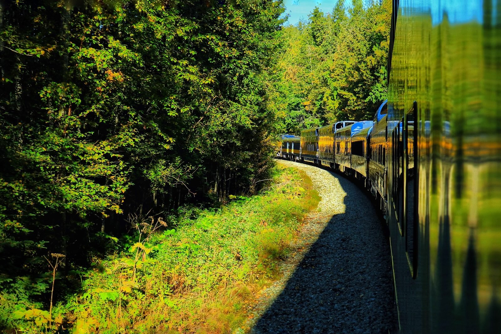 “Midnight Sun”2026 Alaska Summer Season | Gold Rush Town (Talkeetna) Day Tour