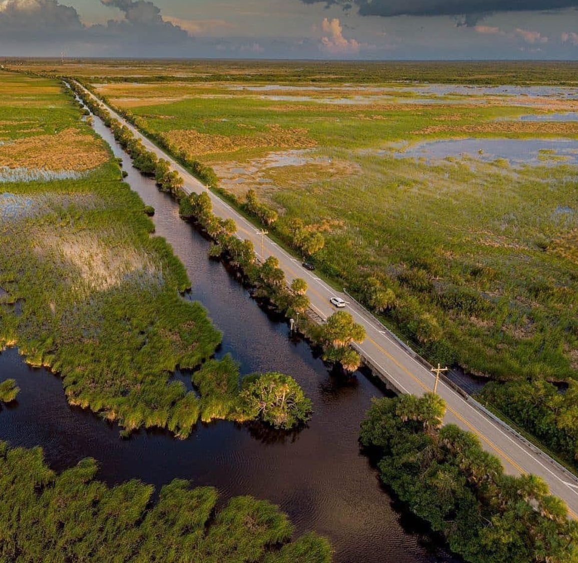 Small Group of No More Than 14 Guests | Miami+ Everglades National Park 1-Day Tour