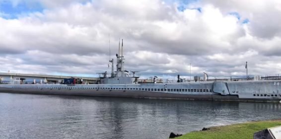 Pearl Harbor + Oahu Half-Day Tour