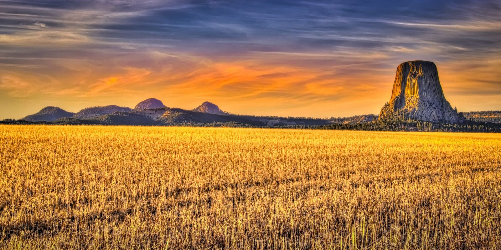 Grand Teton National Park+ Yellowstone National Park+ Mount Rushmore+ Crazy Hors+ Salt Lake City 6-day Tour