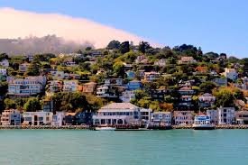 Max of 12 guests per group | Muir Woods National Monument 1-Day Tour