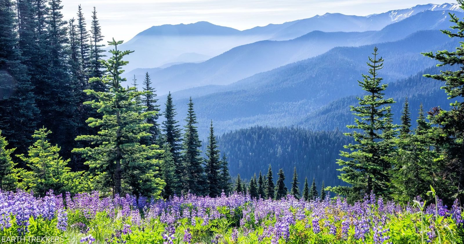 Seattle three days Group Travel 3-day Tour (Package)