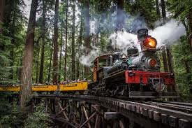 Redwood Forest Steam Train and Santa Cruz Harbor 1-Day Tour (Departing on Saturdays) 