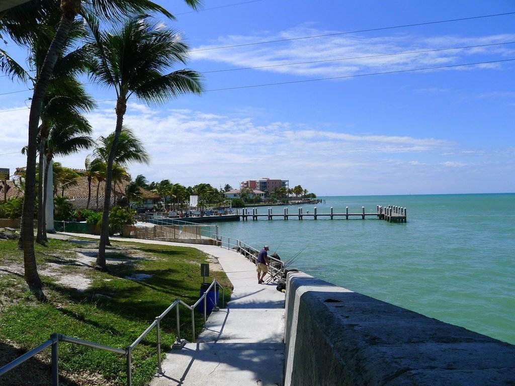 Small Group of No More Than 14 Guests | Fort Lauderdale+ Lion Country Safari+ Palm Beach 1-Day Tour