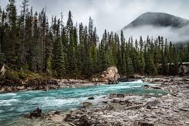 Banff-Vancouver " Rocky Mountaineer " 5-day Train Tour